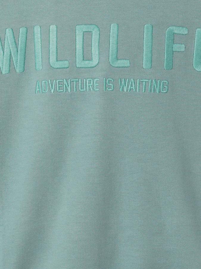 Boys Cotton Regular Fit Hooded Embroidered Hoodie