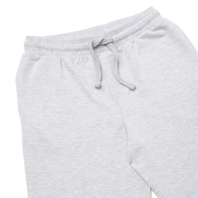 R&B Regular Fit Grey Shorts image number 3