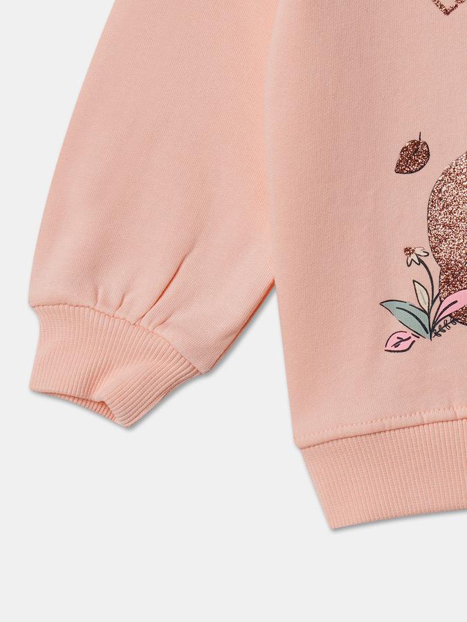 Girls Graphic Regular Fit Full Sleeves Crew Neck SweaT-Shirt